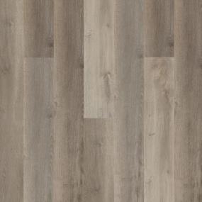 New Standard Plus - Santa Maria Swatch