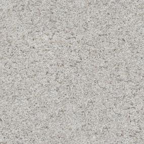 Collegiate Zoomed Swatch