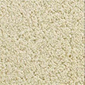 Accolade - Custard Swatch