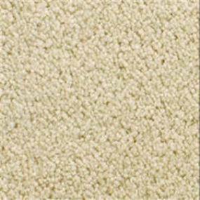 Accolade - Dry Chamois Swatch