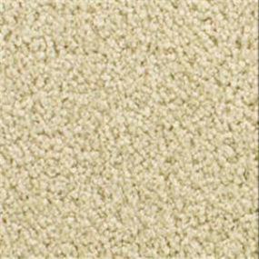 Accolade - Decorative Swatch