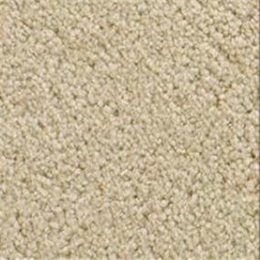 Accolade - Warm Toast Swatch