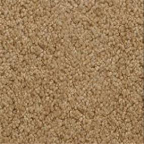 Accolade - Buckeye Swatch