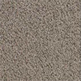 Accolade - Almond Mist Swatch