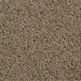 Accolade - Toffee Swatch