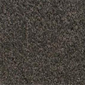 Accolade - Ground Coffee Swatch
