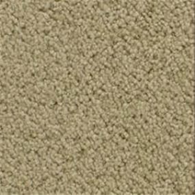 Accolade - Willow Wood Swatch