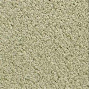 Accolade - Ivy Cottage Swatch