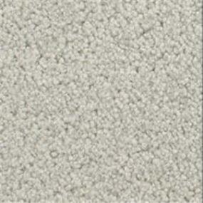 Accolade - Sage Swatch