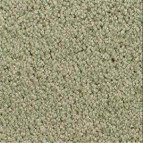 Accolade - Hanging Garden Swatch