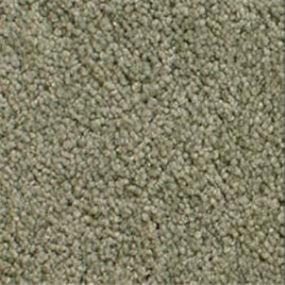 Accolade - Fir Swatch