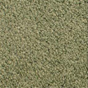 Accolade - Rain Forest Swatch