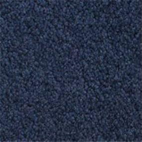 Accolade - Marine Swatch