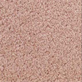 Accolade - Toasted Rose Swatch