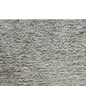 Silver Zoomed Swatch