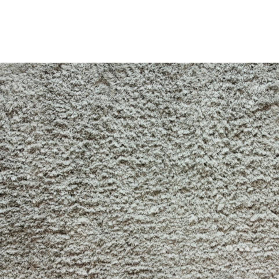 Silver Zoomed Swatch