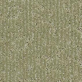 Fabulous Features - Evergreen Swatch