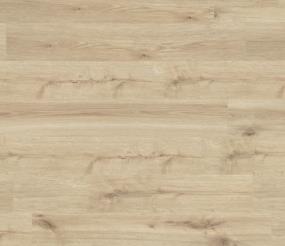 Euriha Disk - Oats Swatch