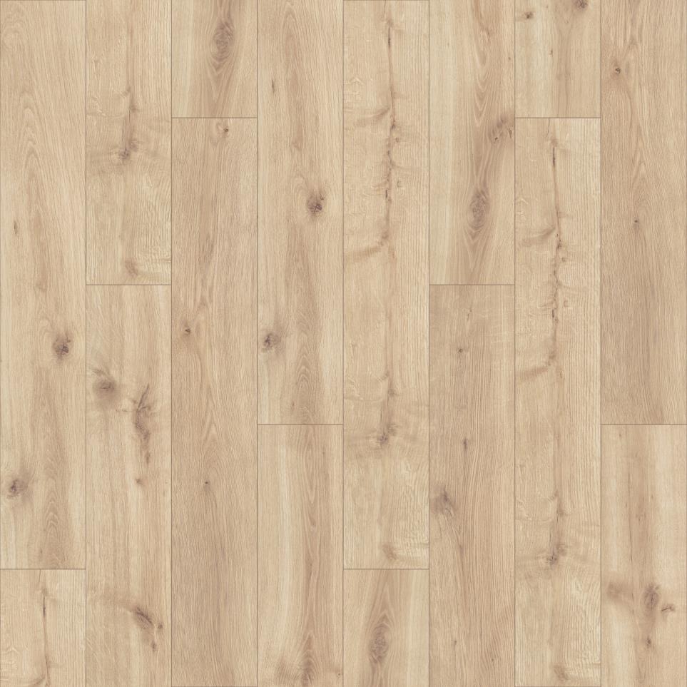 Oats Swatch