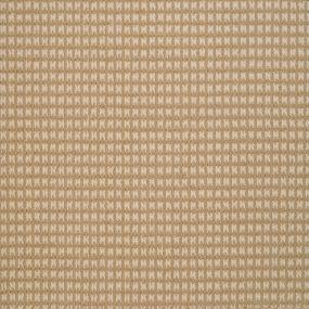 Steadfast - Gobi Tan Swatch