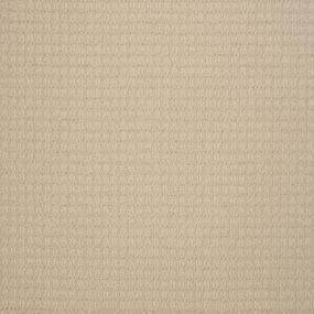 Steadfast - Cream Puff Swatch
