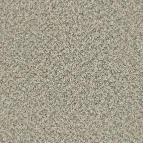 Acadia Zoomed Swatch