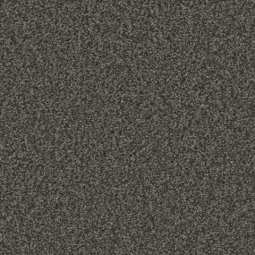 Bark Zoomed Swatch