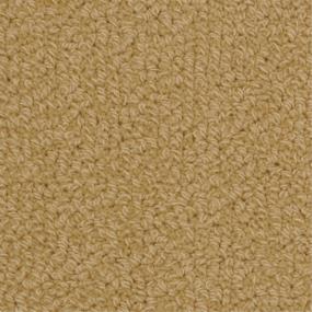Savant - Mchugh Swatch