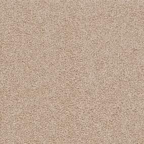 Cape Cod - Sand Swatch