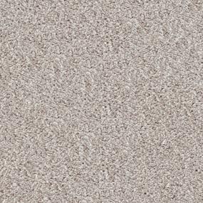 Akita - Sheltie Swatch