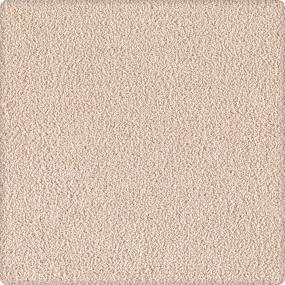 Whimbrel - Camelot Swatch