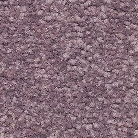 Perfect Peace - Viola Swatch