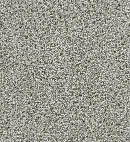 Captivating II - Gravel Stone Swatch