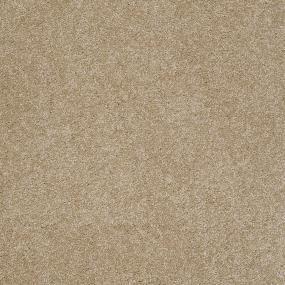 Passive Tan Swatch Thumbnail