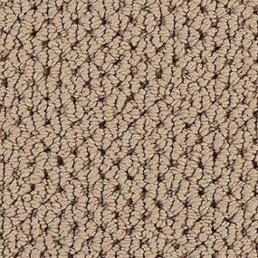 Nomad Zoomed Swatch