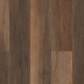 Coretec Pro Plus Hd 9 - Cheshire Elm Swatch