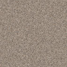 Affection - Driftwood Swatch