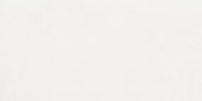 Portfolio Rectangle 12X24 Mt - Ice Matte Swatch