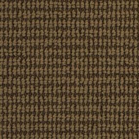 Sanctuary Swatch Thumbnail