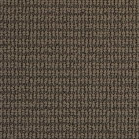 Pashmina Swatch