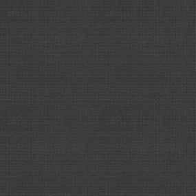 Well Rounded - Nordic Swatch