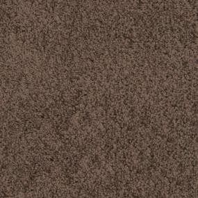 Tiger Eye Swatch Thumbnail