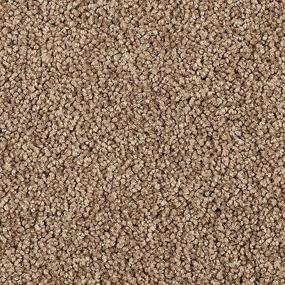 Delightful Intent - Palm Springs Swatch
