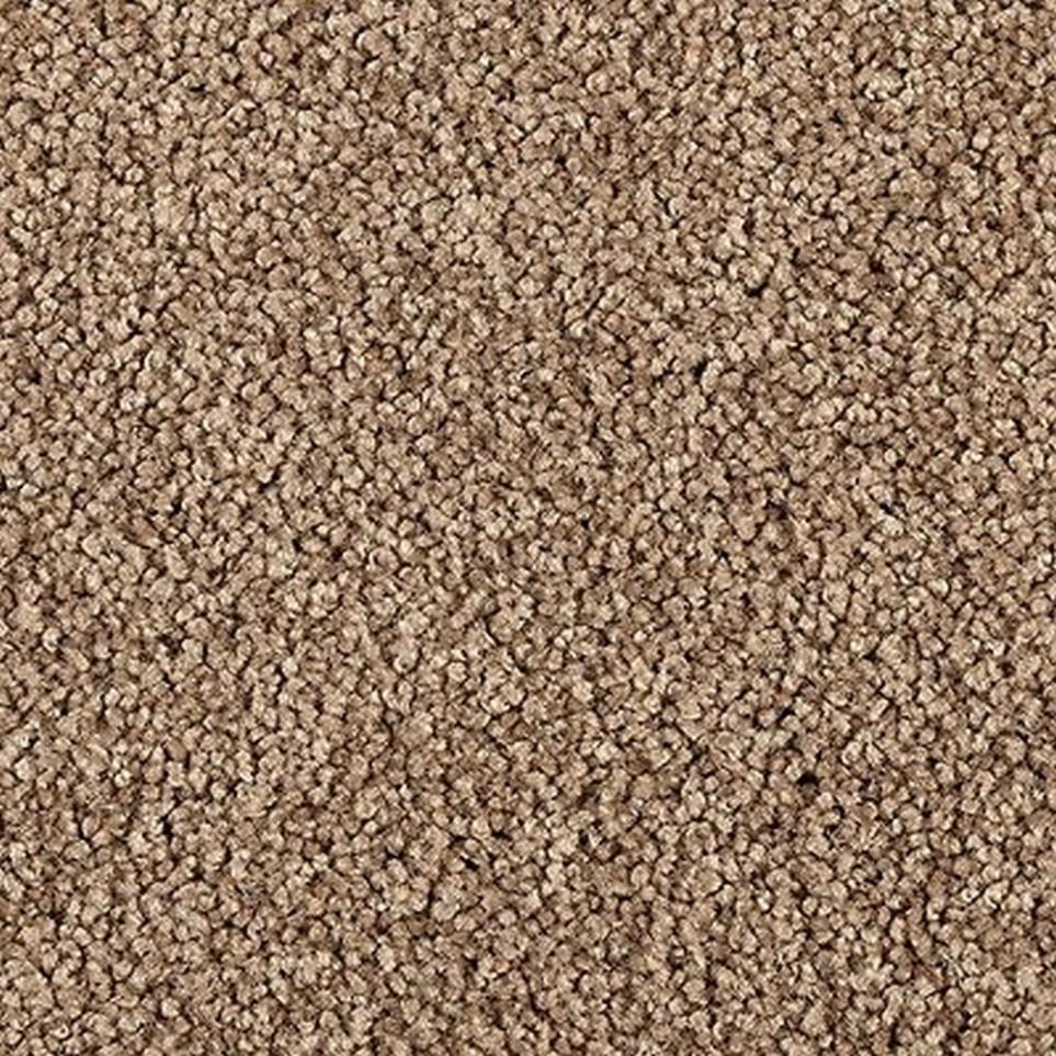 Palm Springs Swatch