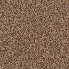 Toast Of The Town - Sandalwood Swatch