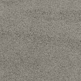 Dove Zoomed Swatch