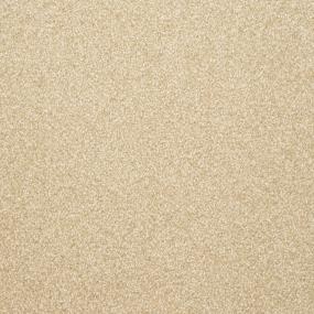 Dazzle - Rawhide Swatch