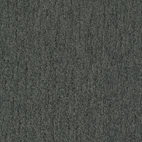 Concert Zoomed Swatch