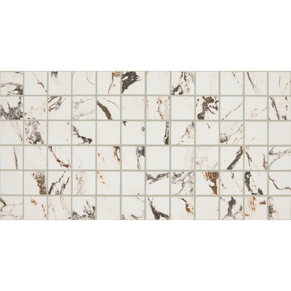 Panoramic Duet Straight Joint 2X2 Dm 12X24 Mt