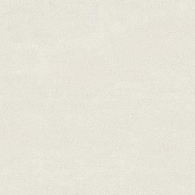 Majestic Peak - Sand Dollar Swatch